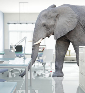 The Elephant In The Room That People Aren't Talking About